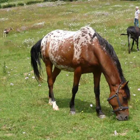 Dom wakacyjny Le Moulin Berthon